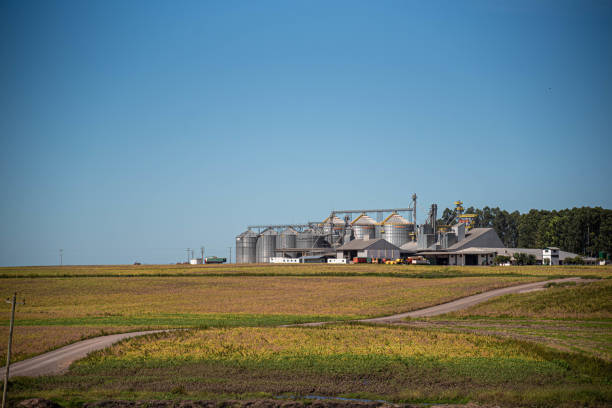 istock Rural landscape bordering Brazil and Uruguay 2148171913