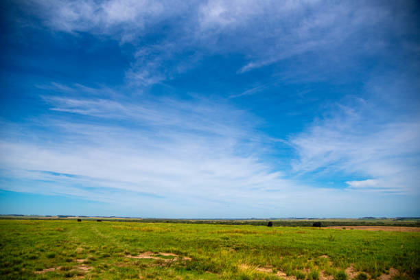 Rural landscape bordering Brazil and Uruguay. Pampas biome. Area of agricultural production fields. countryside landscape in south america