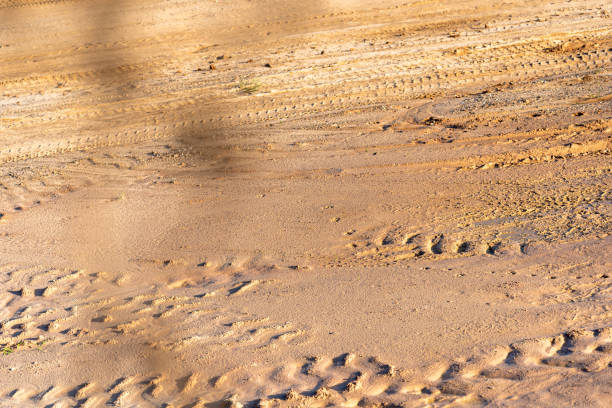 Vehicle tire tracks on the dirt road. Marks in the sand. Sand floor. Vehicle tracks. Off road.