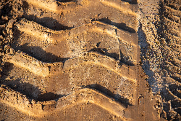 istock Vehicle tire tracks on the dirt road 2148172094
