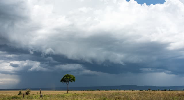 Timelapse of dark storm cell clouds forming in the open plains of Africa