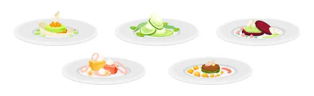 Vector illustration of Haute Cuisine or Grande Cuisine with Meticulous Food Serving on Plate Vector Set