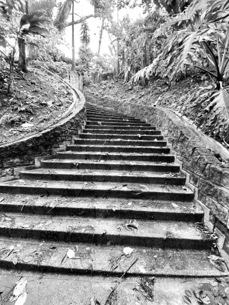 Black and white photo of a staircase that we do not know where they lead, but that still instill fear and mistrust.