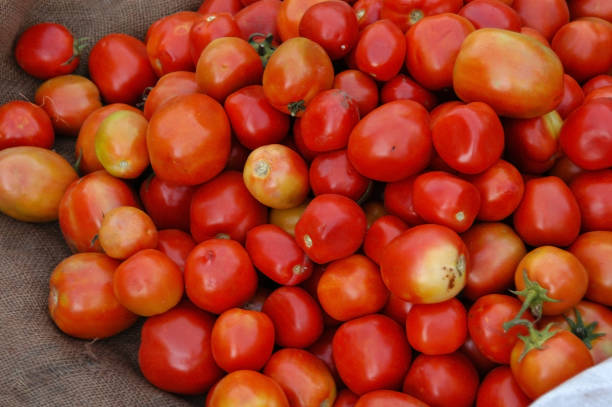 istock Tomatoes in a market in Rajasthan, India 2148174381