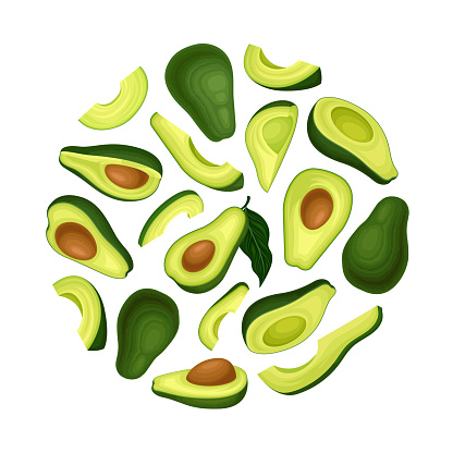 Avocado Round Composition Design with Green Fruit and Kernel Vector Template. Tropical Organic Fat Ingredient