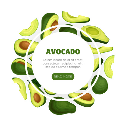 Avocado Banner and Poster Design with Green Fruit Vector Template. Tropical Organic Fat Ingredient