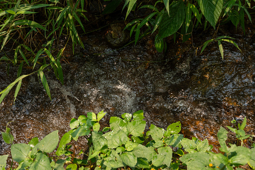 The flowing water of a small stream