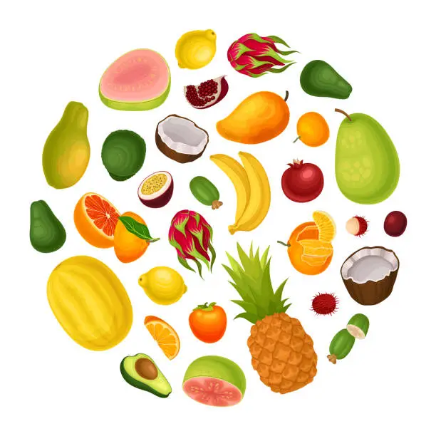 Vector illustration of Exotic Fruit Round Composition with Bright Sweet Garden Crop Vector Template