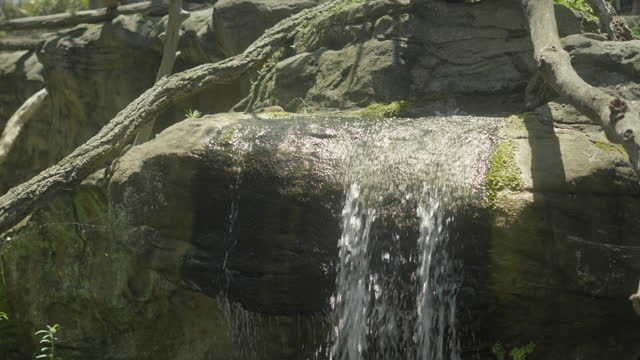 Water flowing off of a mossy rock, creating a small waterfall.