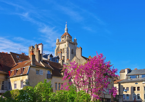 the town Dole and church in France