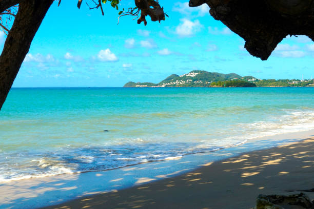 A romantic view of the pale blue sea and sandy beach visible under a leafy tree branch on the coast of the Caribbean island of Saint Lucia, near the port town of Castries.