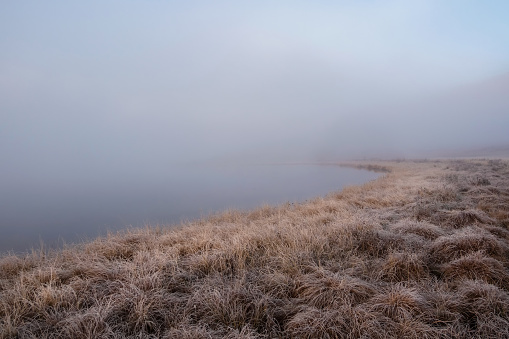 Natural background with fog over the swamp. Morning view of a swampy plain of a wide area at dawn. Hills of  horizon is foggy. Thick withered grass in the foreground in frost.