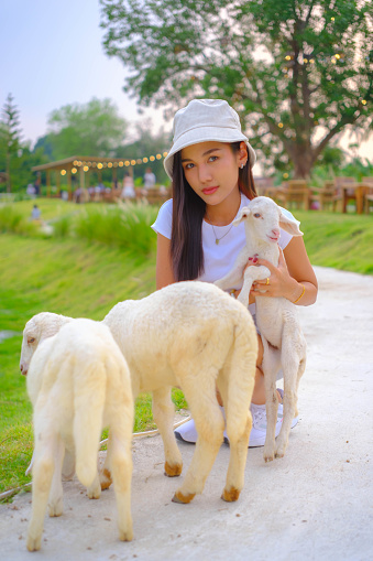 Young woman plays with sheep in the green meadow