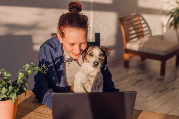 istock Young woman studying online on laptop at home 2148181814