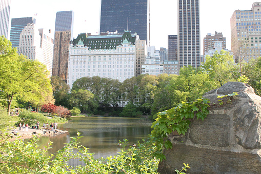 This photo was taken in Central Park, New York, USA