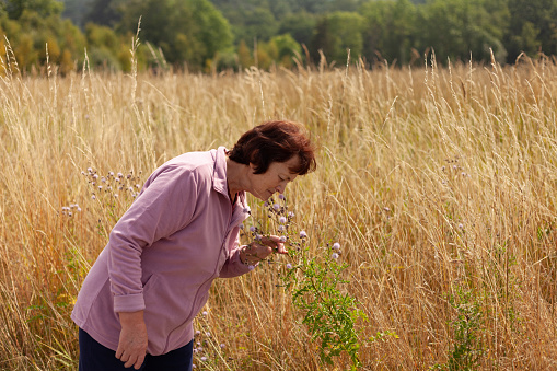 Elderly woman enjoying the beauty and fragrance of wildflowers in a tranquil wheat field setting