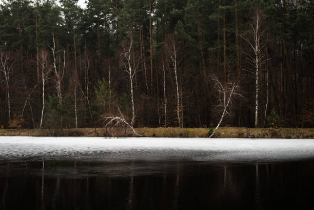 Yavoriv National Nature Park landscape in rainy morning, Ukraine