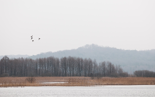 Yavoriv National Nature Park landscape in rainy morning, Ukraine