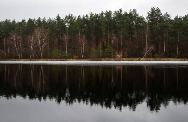 Yavoriv National Nature Park landscape in rainy morning, Ukraine