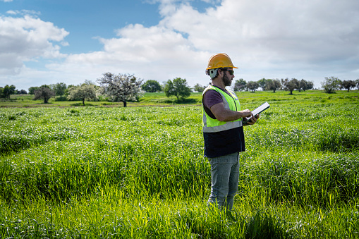 Agricultural Engineer using digital tablet in field of sprouted wheat.
