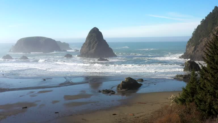 Whales head in the southern Oregon coast.