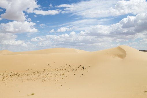 Tuyesu dunes landscape, Senek, Mangystau region, Kazakhstan. Desert landscape