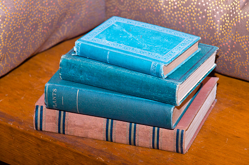 Stack of old books on a bench with pillows in the background.