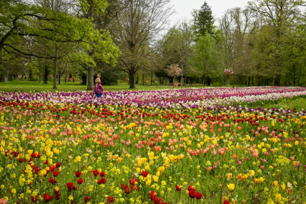 istock view of easter decorations in a tulip bed 2148189995