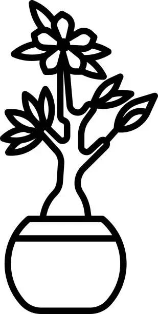 Vector illustration of desert rose bonsai vector illustration