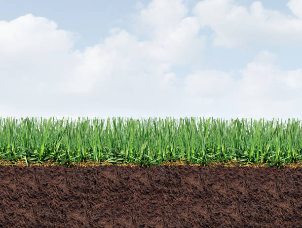 istock Healthy Lawn Border Background 2148191624