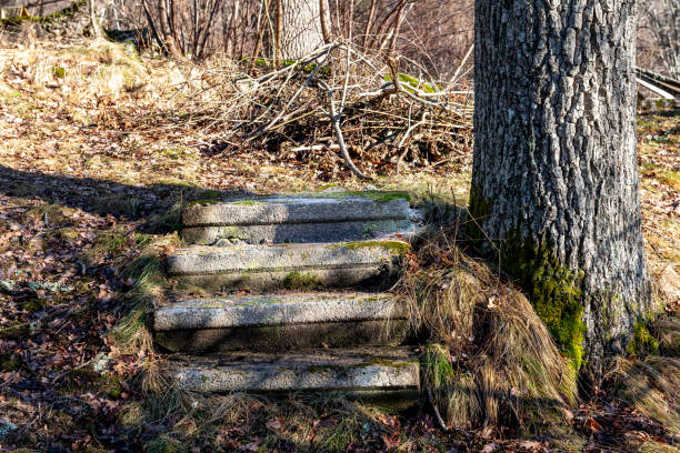 Closeup old steps in Autumn covered with maple leafs, background with copy space, full frame horizontal composition