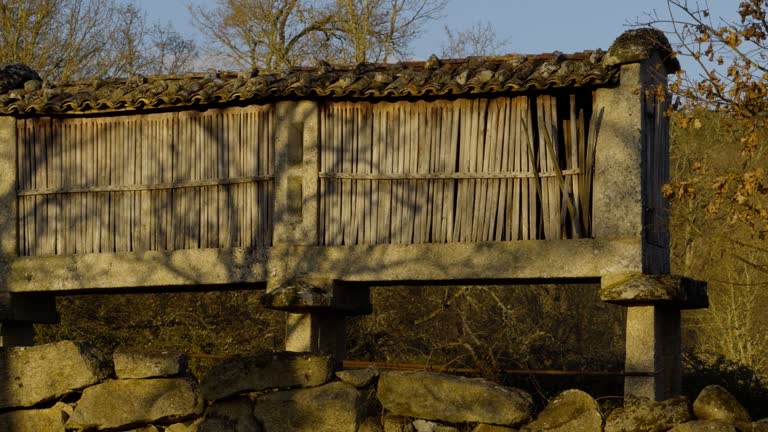 Old Traditional Granary From Galicia Surrounded By Trees In Spain