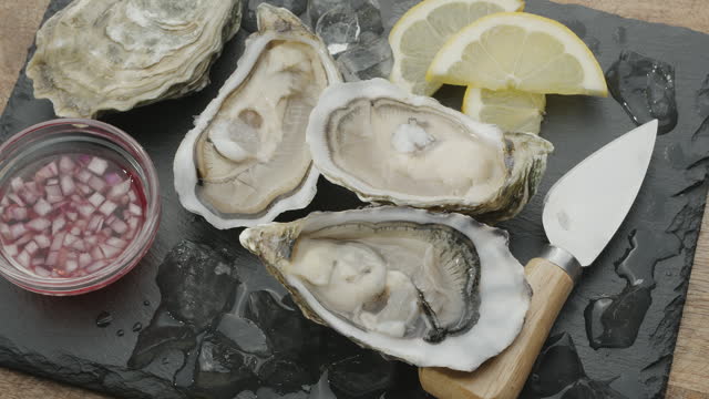 Fresh raw edible oysters, popular shellfish seafood close-up. Mollusk marine oysters.
