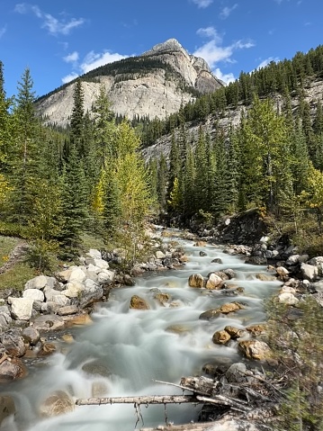 River view along Hwy 93 Alberta