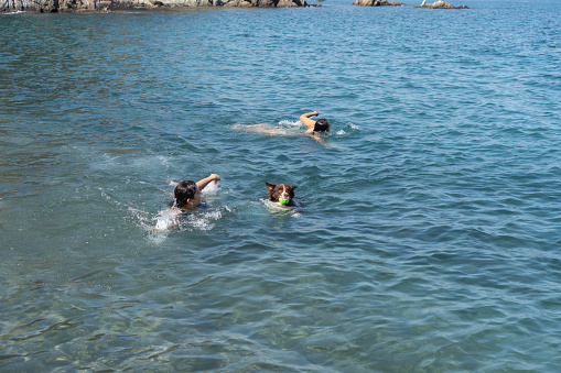 Two people and a dog swimming in the ocean, fetching a ball on a clear day.