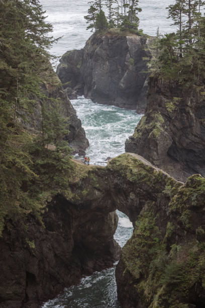 istock Natural Bridges in the Southern OregonCoast. 2148197360