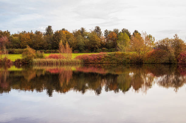 istock Colourful Autumn reflection of vegetation 2148198848