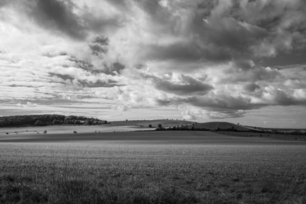 istock Monochrome landscape with a vast field and rolling hills 2148198988