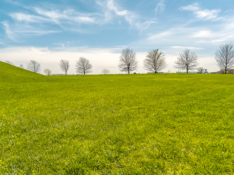 Springtime Scene of a Grassy Green Field Lined with Trees in the Distance. Small part of the sloping hill at the perimeter of view. Wispy clouds and blue skies overhead.