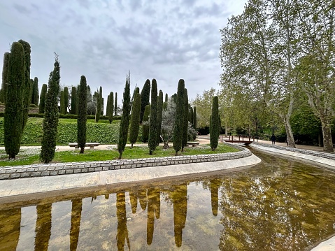 With 125 hectares and over 15,000 trees, El Retiro Park is a green oasis in the heart of Madrid. Some of its gardens deserve special attention: the Vivaces Garden, the Cecilio Rodríguez Gardens (classical gardens with Andalusian influences), the Architect Herrero Palacios Gardens, the rehabilitated Montaña de los Gatos, the Rose Garden (collection of roses), and the French Parterre with the ahuehuete, the oldest tree in Madrid, believed to be around 400 years old. Since July 25, 2021, it has been recognized, along with the Paseo del Prado, as a UNESCO World Heritage Site.