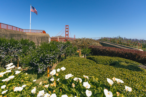 Lush garden with the American flag and the Golden Gate Bridge in the background.