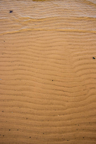 Seamless wet sand with sea water on a whole background. Empty wavy sandy sea bottom. Exotic Sandy Ocean beach surface. Top view. Simple, minimalistic photo. Ideal concept for banner, poster, ads.