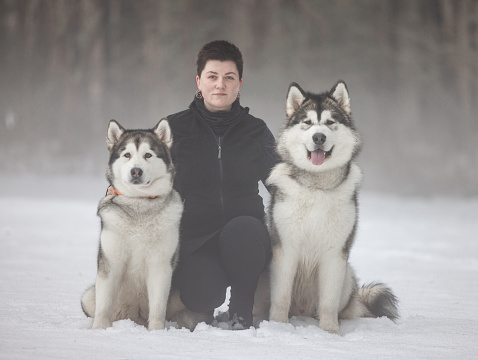 Young Girl and Two Malamute Dogs in Snowy Hazy Mist Foggy Backgroud