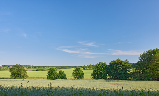 A  photo of the countryside in early summer