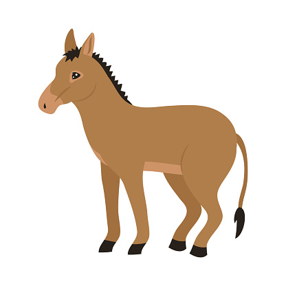 donkey illustration design vector isolated