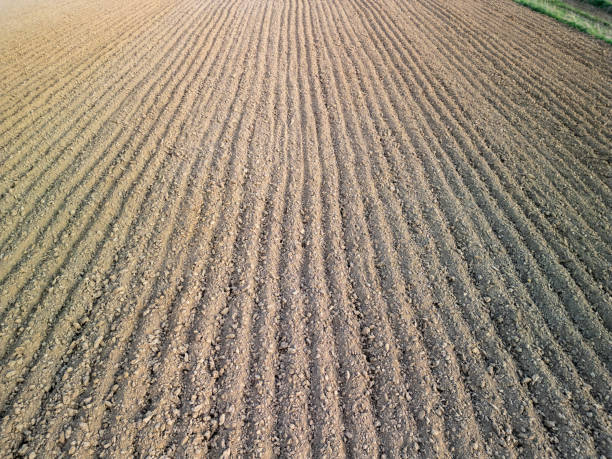 istock finely harrowed arable field after sowing, Poland 2148204665