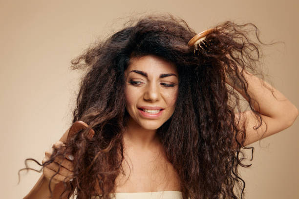 istock DAMAGED HAIR. HAIR PROBLEMS CONCEPT. Irritated suffering awesome curly Latin lady with hairbrush pulling combing hair posing isolated on pastel beige background, look aside. Copy space, good offer 2148204828