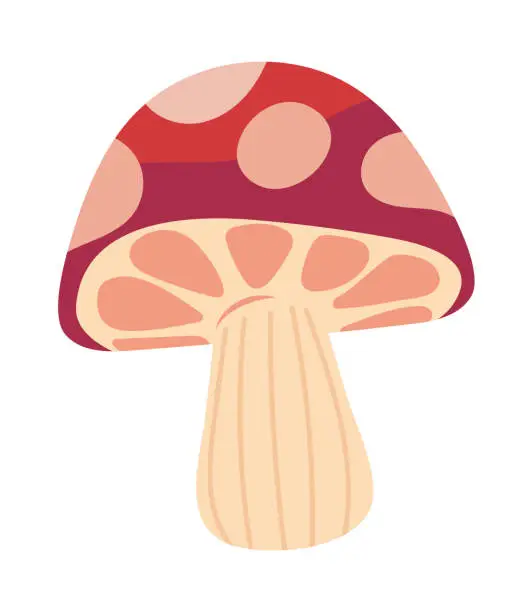 Vector illustration of mushroom cartoon icon flat isolated