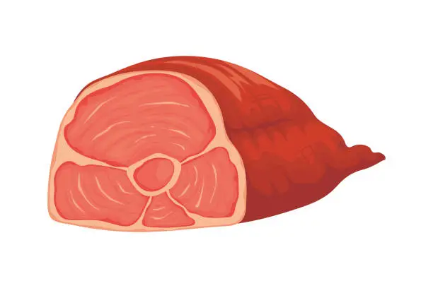 Vector illustration of meat pork leg icon isolated