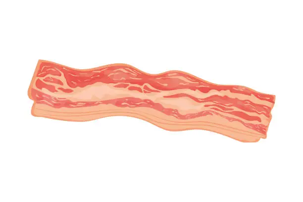 Vector illustration of meat bacon icon isolated design